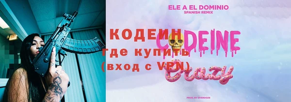 сатива Струнино