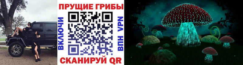 Галлюциногенные грибы Cubensis  закладка  Енисейск 